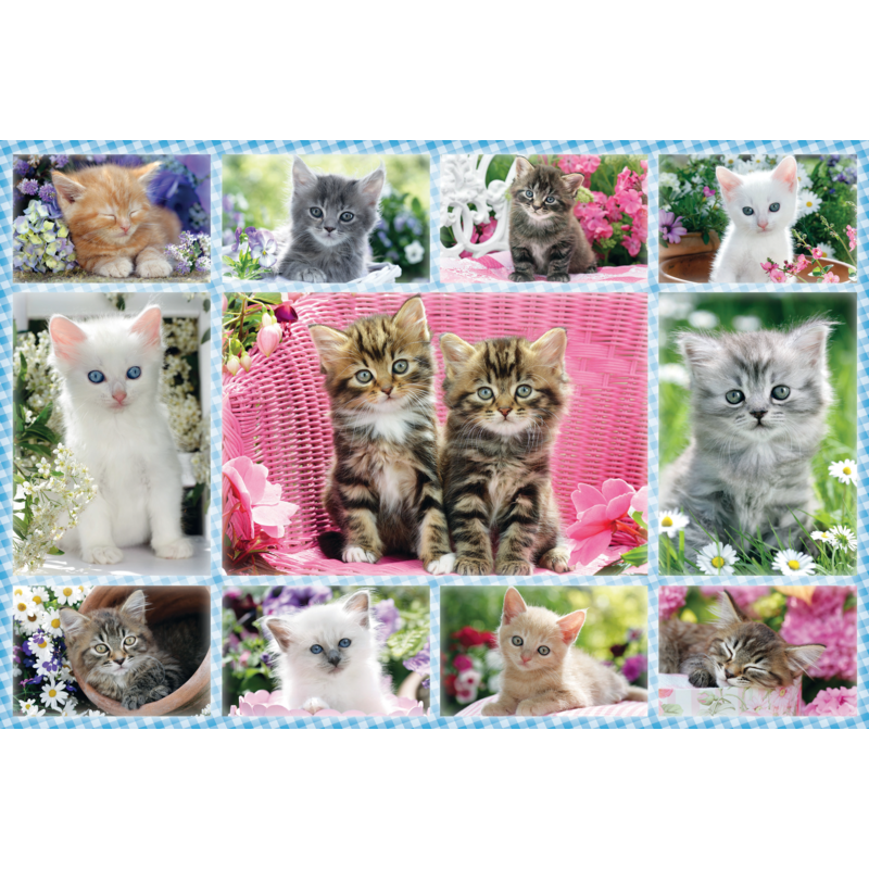 Puzzle "Katzenbabys" – Schmidt Spiele (Kinderpuzzle)