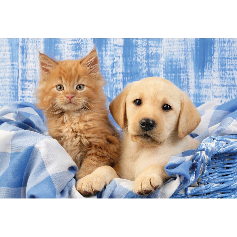 Puzzle Meine liebsten Haustierbabys – Schmidt Spiele (Kinderpuzzle)